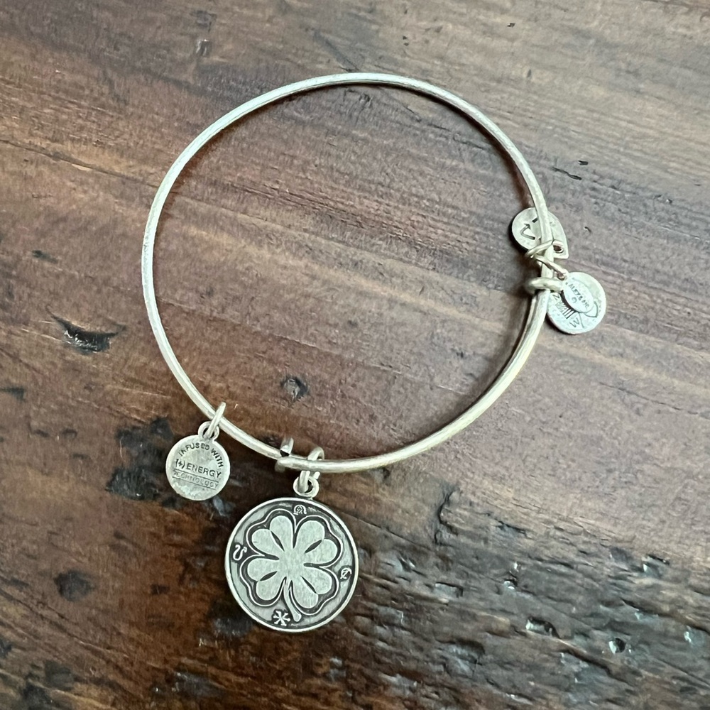 Alex and Ani Bracelet Bundle, Gold & Silver (6) - Picture 7 of 9
